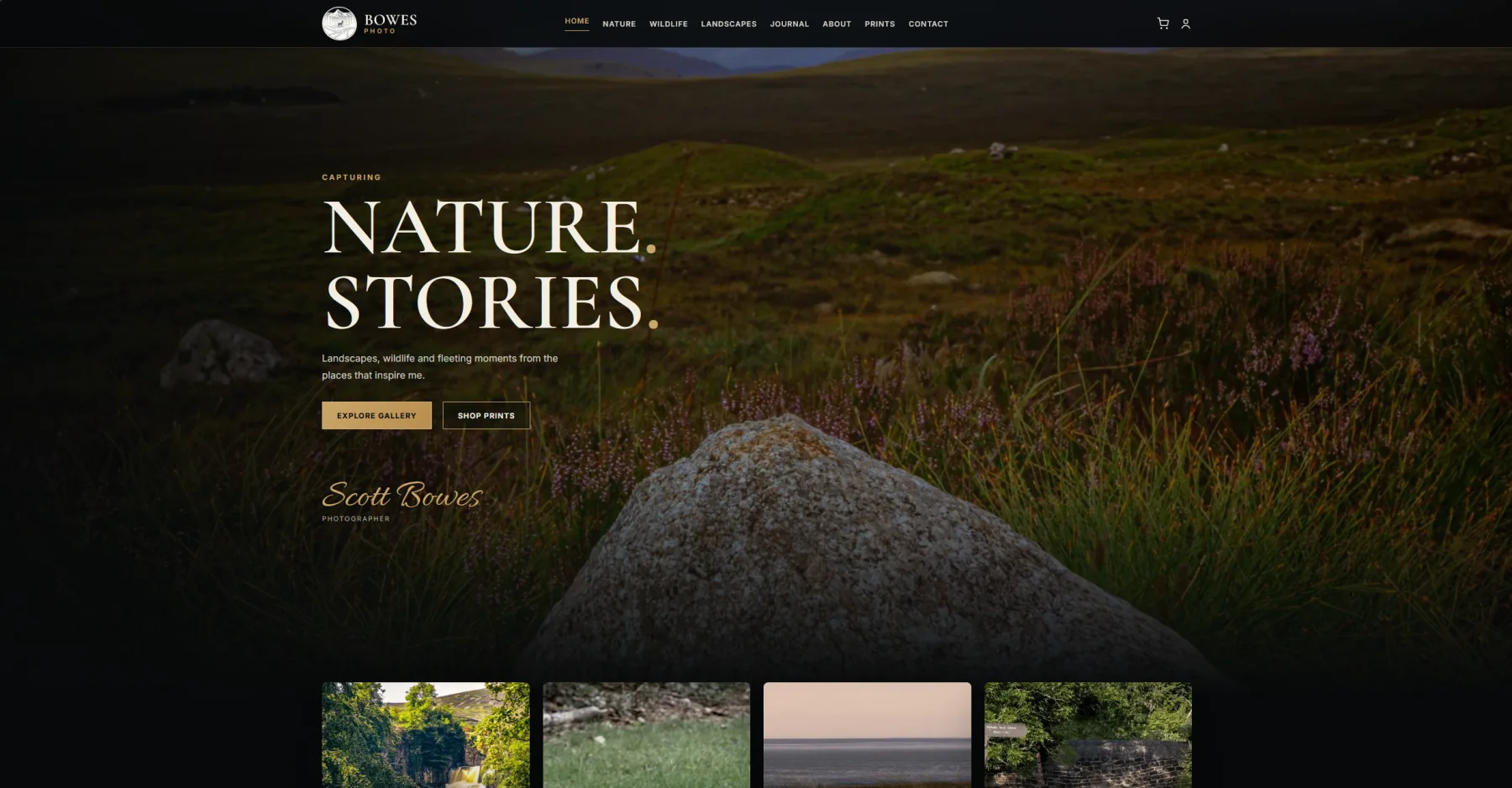 Photography website homepage with “Nature Stories” headline over a grassy hillside landscape and boulder.