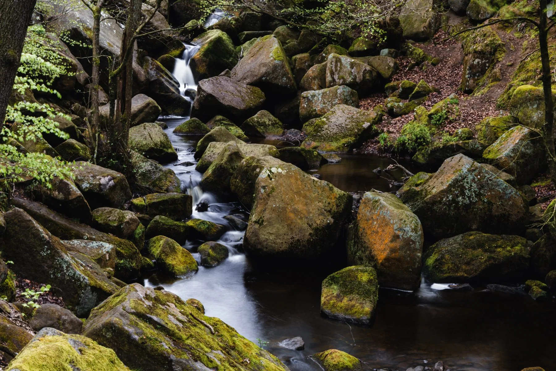 Small waterfall flowing through a moss-covered boulder stream in a wooded ravine.