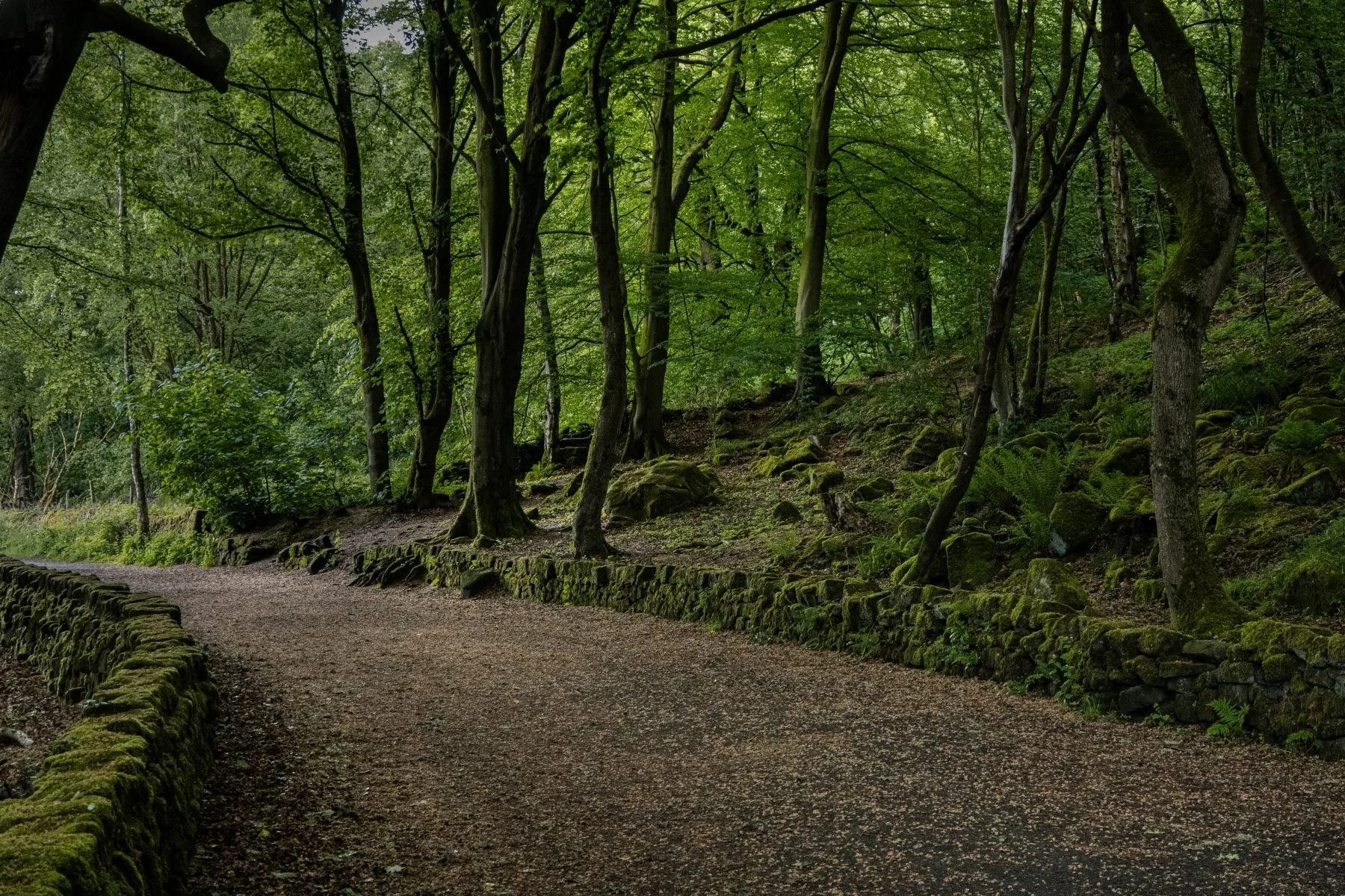 Gravel path curving through a leafy forest, bordered by moss-covered stone walls and tall trees.