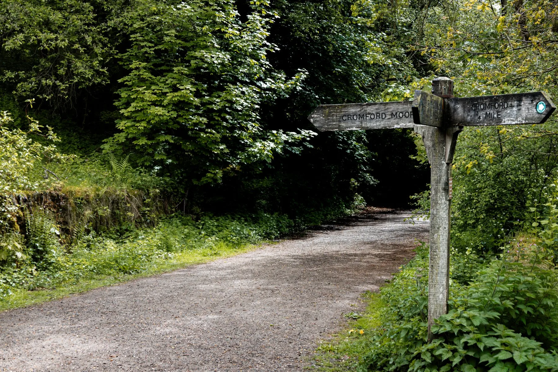 Wooden signpost beside a gravel path curving into dense green woodland.
