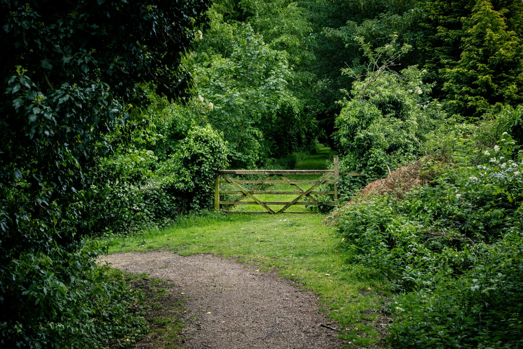 Wooden gate across a grassy path, surrounded by dense green woodland foliage.