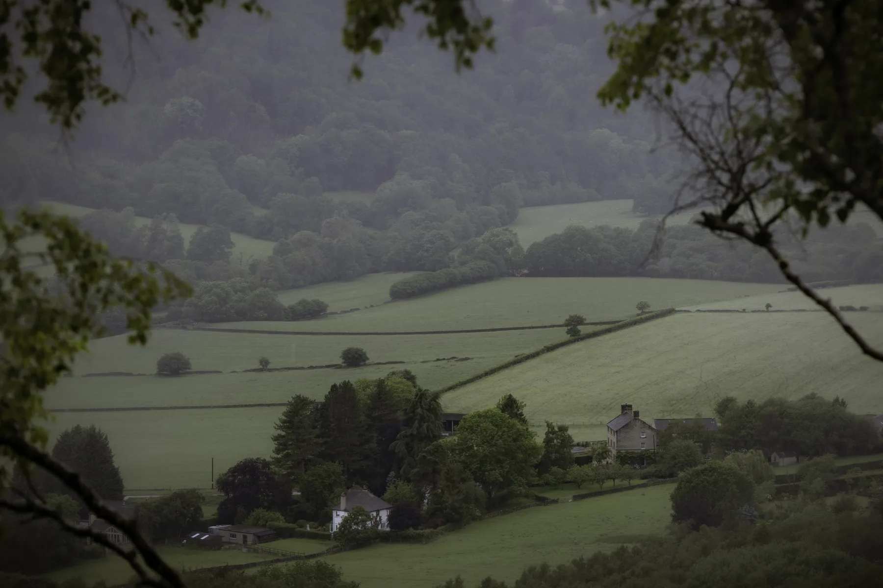 Misty hillside farmland with patchwork fields and scattered houses, framed by tree branches