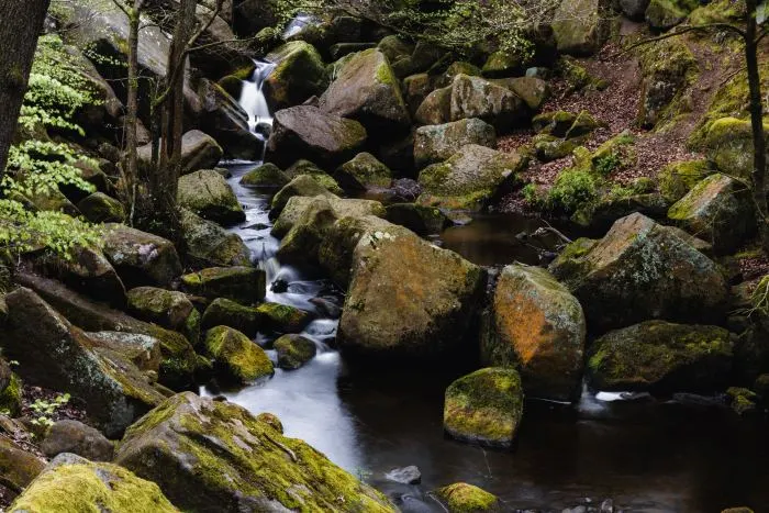 Small waterfall flowing through a moss-covered boulder stream in a wooded ravine.