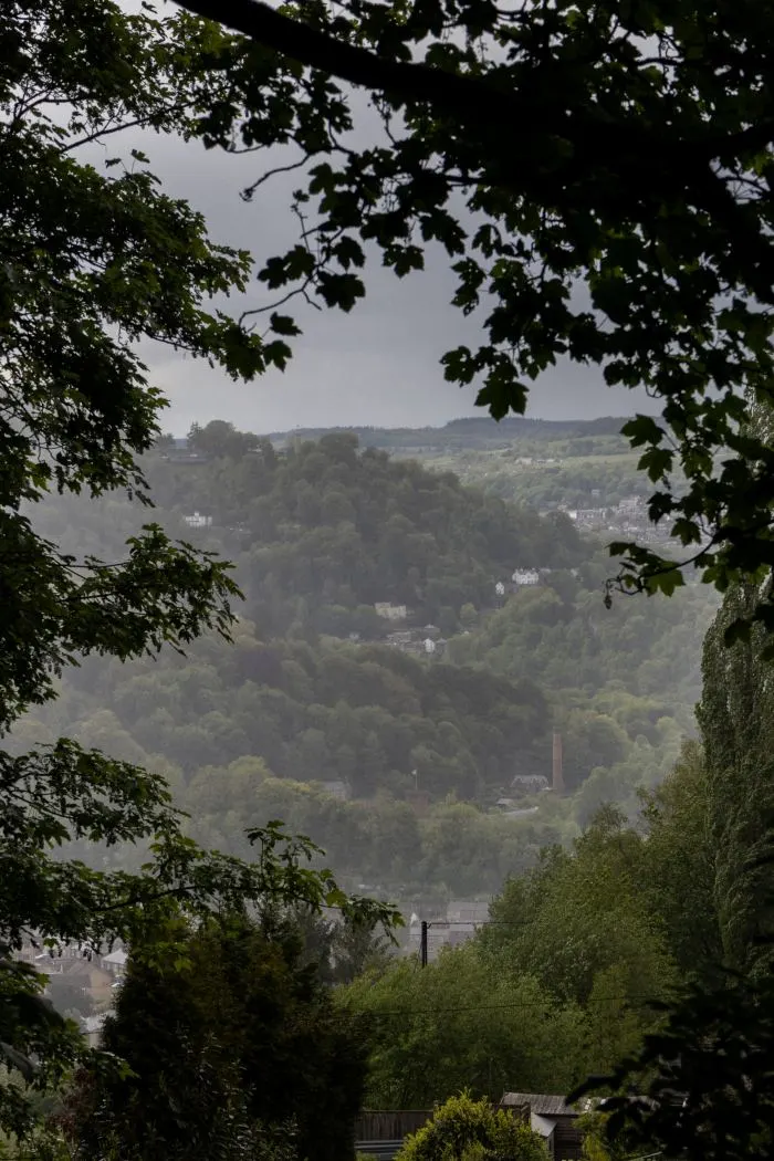 Tree branches framing a misty view of a wooded hillside with scattered houses under a gray sky.
