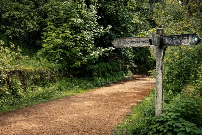 Wooden signpost beside a gravel path curving into dense green woodland.