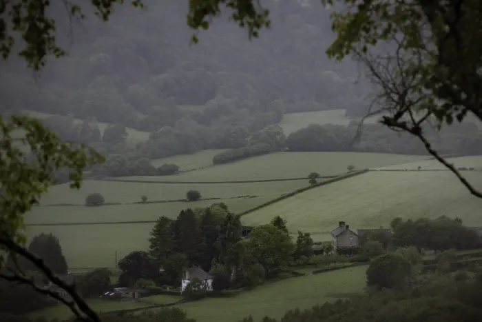 Misty hillside farmland with patchwork fields and scattered houses, framed by tree branches